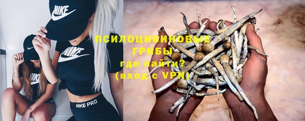 mdpv Новодвинск