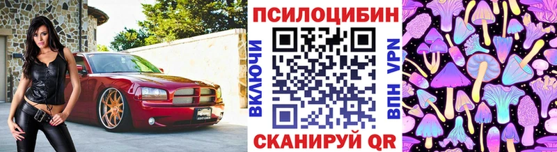 продажа наркотиков  MEGA рабочий сайт  Галлюциногенные грибы GOLDEN TEACHER  Краснообск 